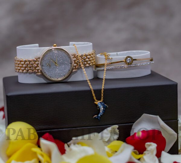 Lady's Gift Set- a Bracelet, Necklace and a Wristwatch