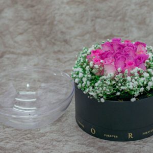 Baby Breath Flower Box