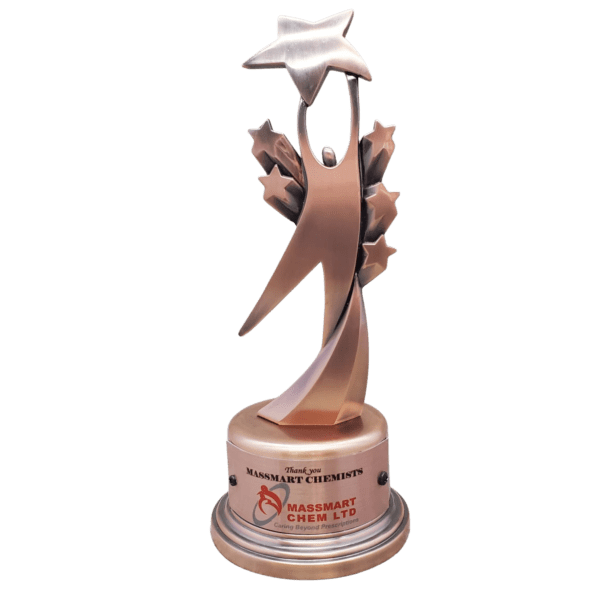 Antique Bronze Star Trophy Award