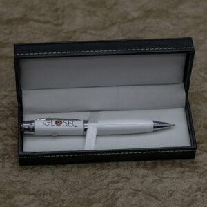 Customized Executive Pen and USB Memory Stick Combo