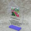 Tipped Acrylic Award with Blue Base