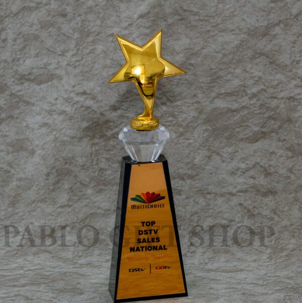 Customized Corporate Acrylic Award Trophy