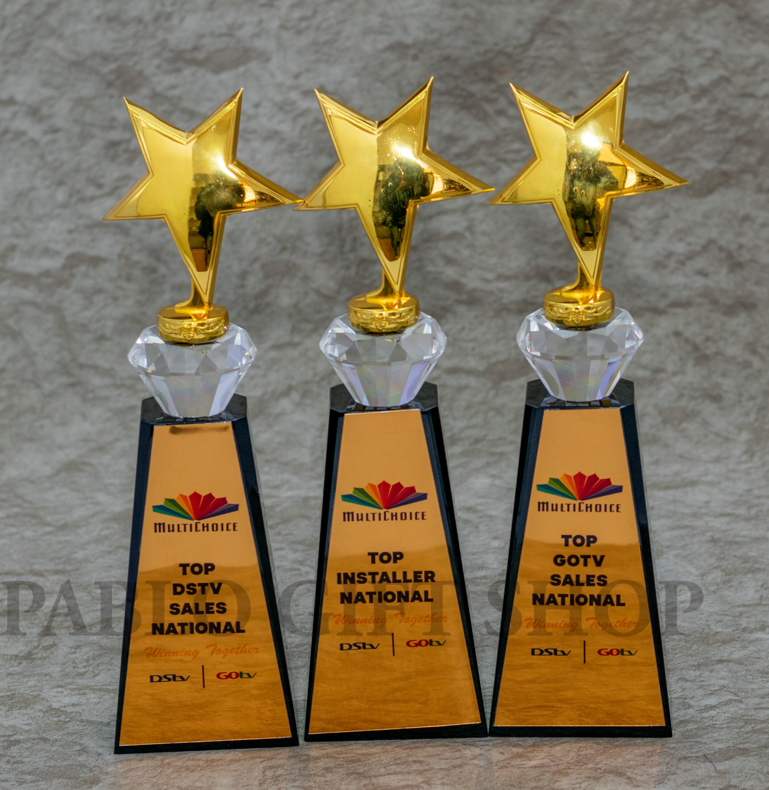 Customized Corporate Acrylic Award Trophy