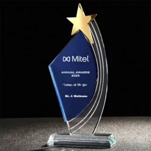Blue And Clear Branded Star Trophy Award