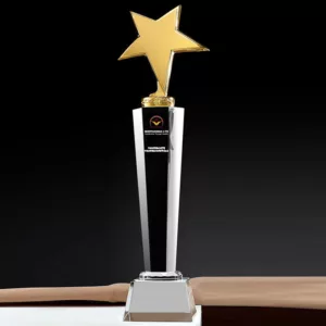 Crystal Star Branded Trophy Award
