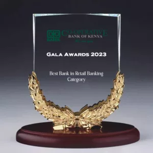 Customized High-end  Award Trophy