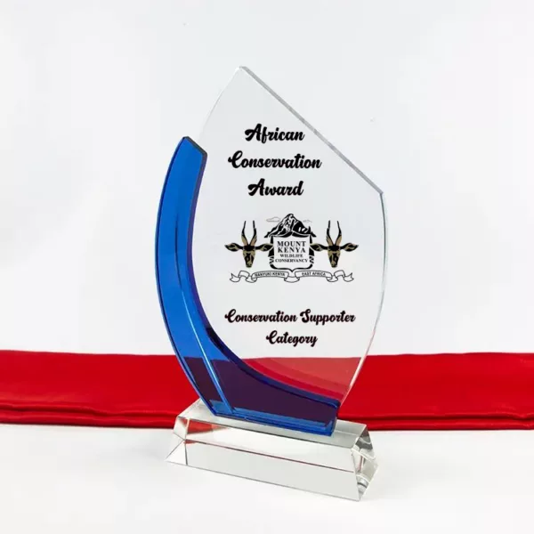 Slashed Crystal Branded Award