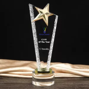 Star Branded Trophy Award
