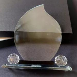 Corporate Crystal Award Trophy