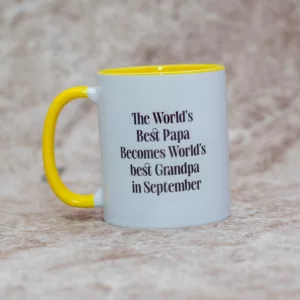 Best Papa Branded Mug