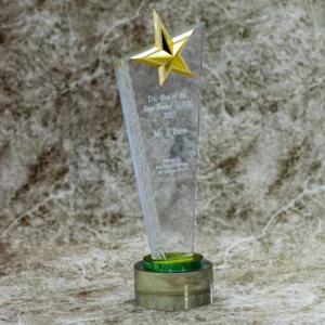 Customized Crystal Star Award Trophy
