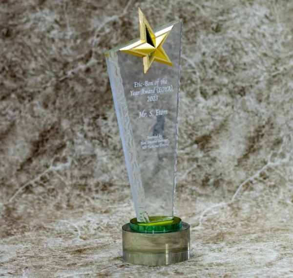 Customized Crystal Star Award Trophy
