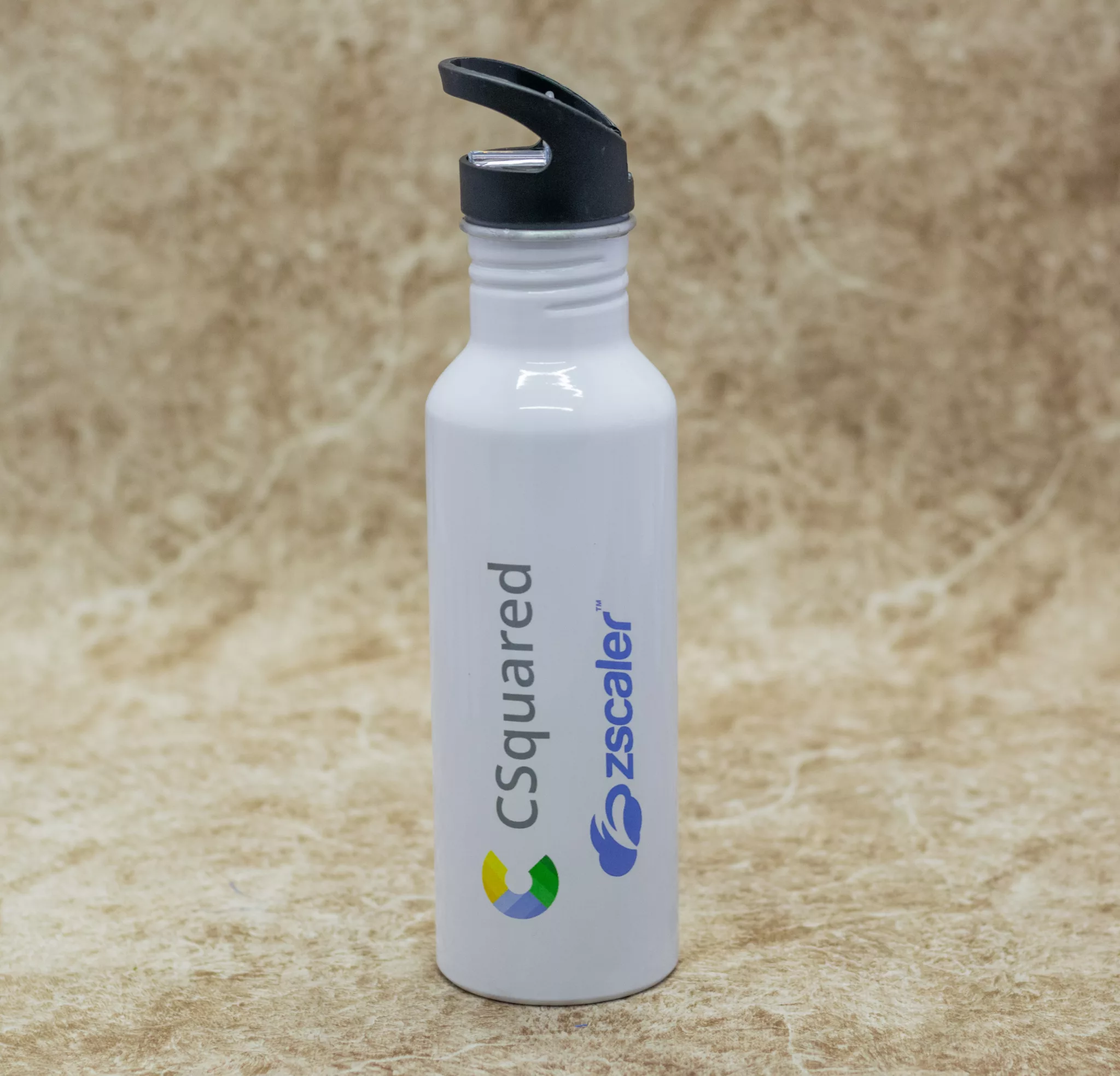 Customized Lion Cast Sculpture - Pablo Gift Shop